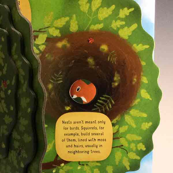 Discovering the World of Bird Nests - Image 2